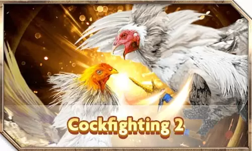 CockFighting2