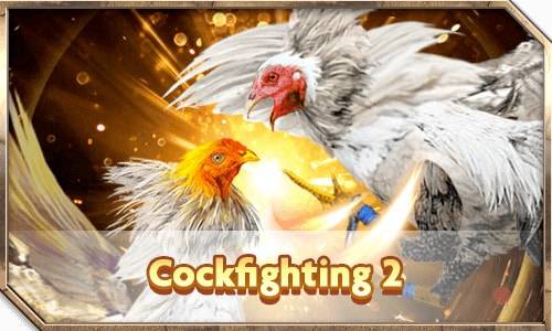 CockFighting2