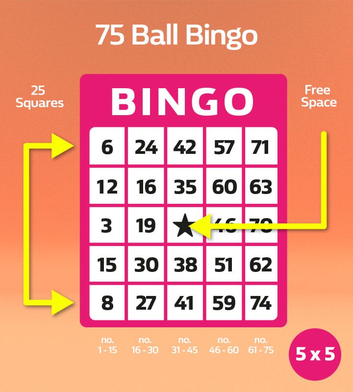 Basics of Bingo